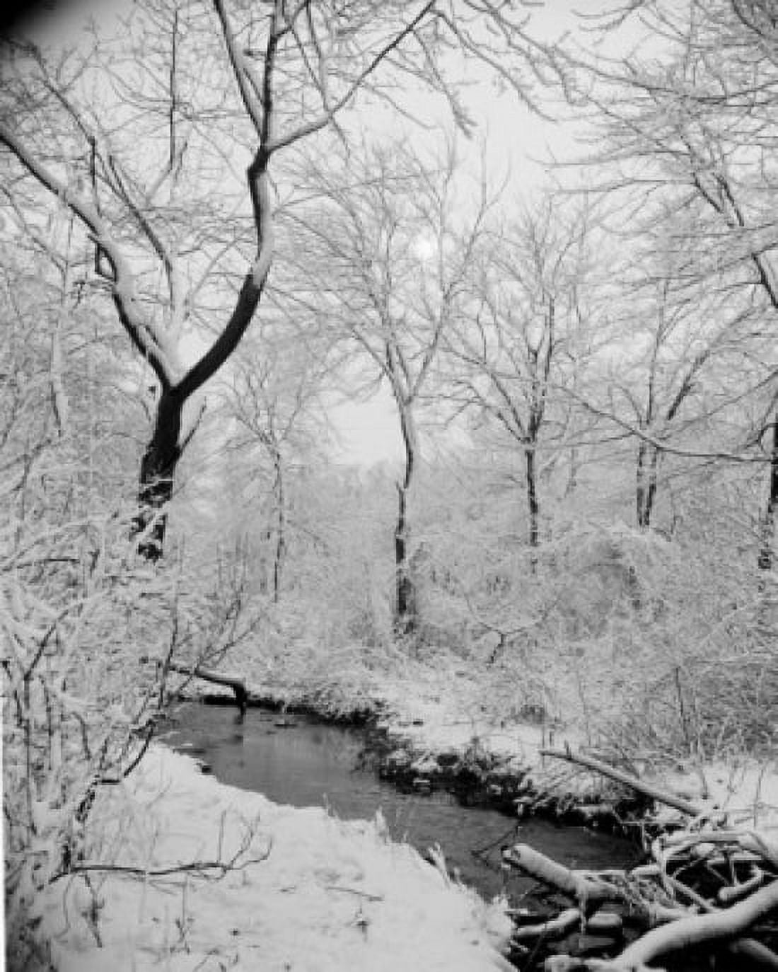 Snowy forest with stream Canvas Art - (18 x 24)