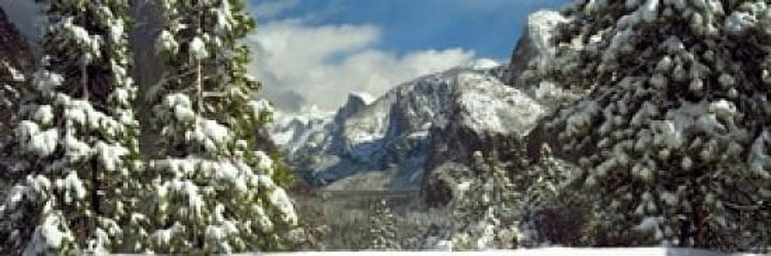 Snowy trees in winter Yosemite Valley Yosemite National Park California USA Canvas Art - Panoramic Images (18 x 6)