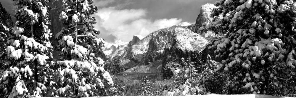 Snowy trees in winter Yosemite Valley Yosemite National Park California USA Canvas Art - Panoramic Images (6 x 18)