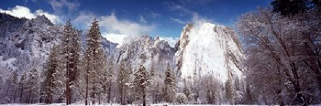 Snowy trees with rocks in winter Cathedral Rocks Yosemite National Park California USA Canvas Art - Panoramic Images (18 x 6)