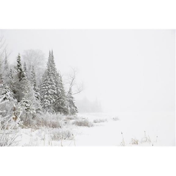 Snowy winter scene in the Algonquin Provincial Park; Ontario Canada Poster Print