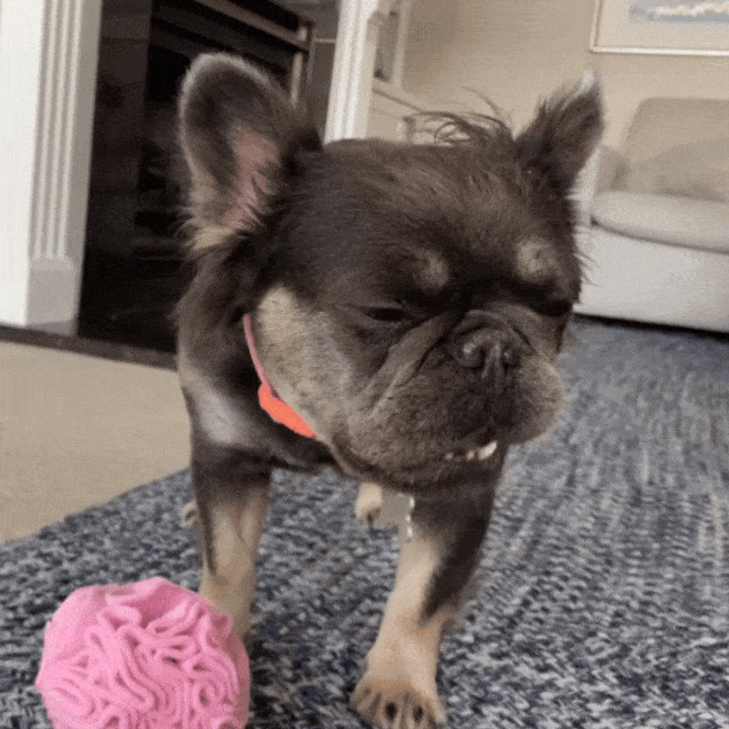 Small Pink Fleece Snuffle Treat Dispenser Ball