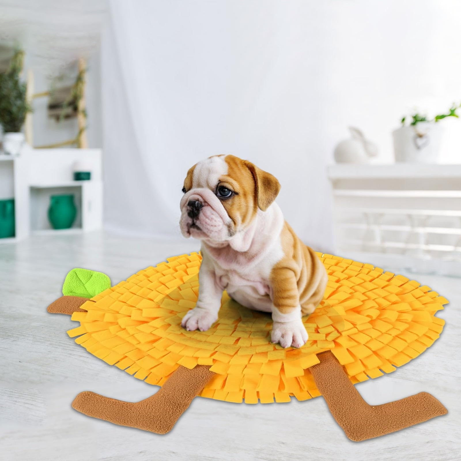 Snuffle Mat For Dogs Fruit Shape Pet Sniffing Mat Enrichment Pet
