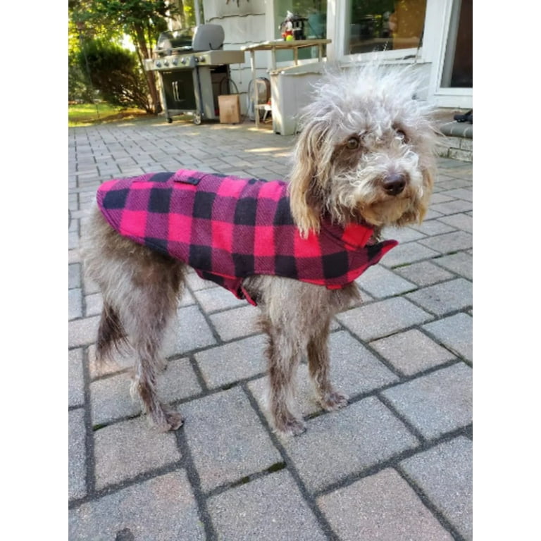 Walmart shop dog clothing