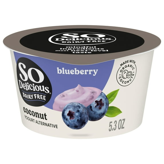 So Delicious Vegan, Dairy Free Blueberry Coconut Yogurt Alternative, 5.3 oz Container