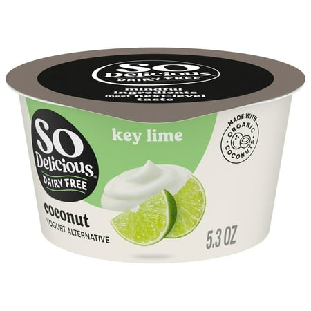 So Delicious Vegan, Dairy Free Key Lime Coconut Yogurt Alternative, 5.3 oz Container