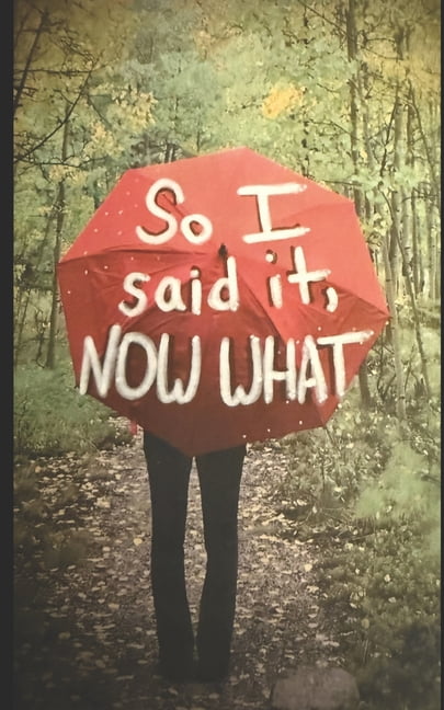 So I said it, NOW WHAT, (Paperback)