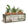 thumbnail image 1 of So Many Seeds Three Pot Floral Purple 10 x 4 Wood Standing Planter Seedling Box, 1 of 1