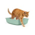 thumbnail image 1 of So Phresh Open Cat Litter Box, Mint, X-Large, 22.4" L X 16.9" W X 5.4" H, 1 of 1