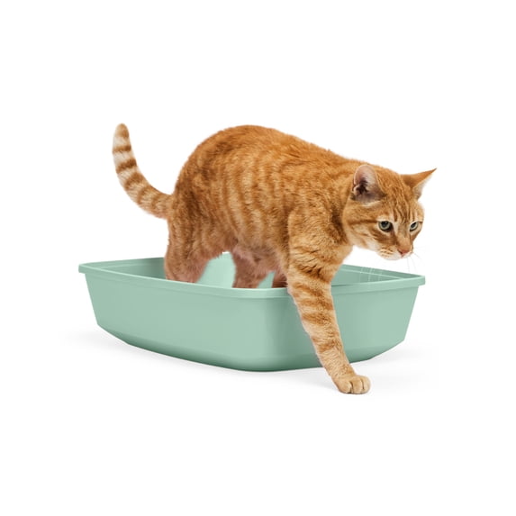 So Phresh Open Cat Litter Box, Mint, X-Large, 22.4" L X 16.9" W X 5.4" H