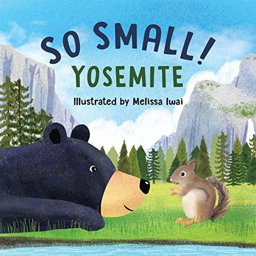 Pre-Owned So Small! Yosemite (Board Book) 9781930238862