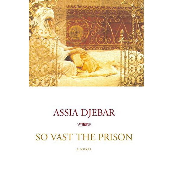 Pre-Owned So Vast the Prison: A Novel, 9781583220672, 1583220674, Paperback, 1st trade pbk. ed edition