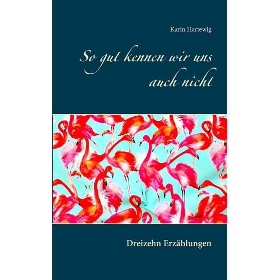 So gut kennen wir uns auch nicht: Dreizehn Erzählungen, (Paperback)
