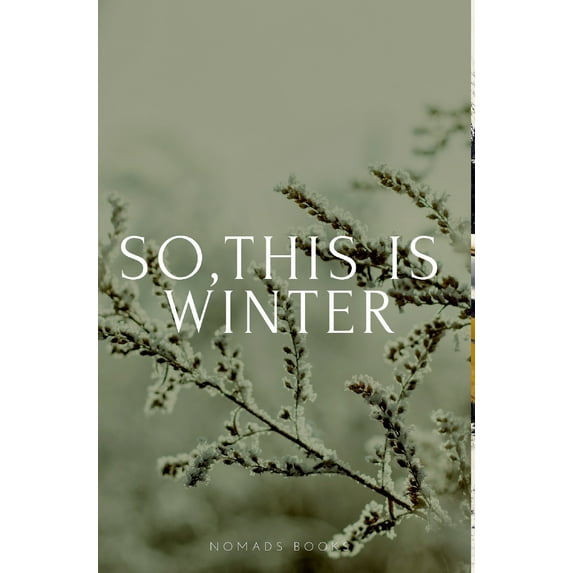 So, this is winter!