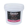 thumbnail image 1 of Soho Urban Artist Heavy Body Acrylic Paint, Fluorescent Pink - 1 Gallon, - Acrylic Paint Set for Artists, Thick & Creamy, Excellent Coverage, Permanent Water-Resistant Film, 1 of 7