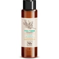thumbnail image 1 of Soapbox Shampoo - Tea Tree - 16 oz. (Pack of 4), 1 of 4