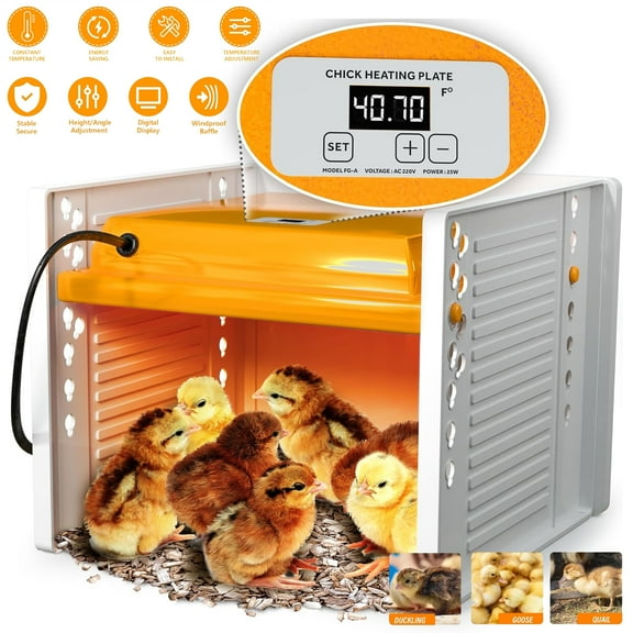 Soapow Chick Brooder Heater Plate, Chicken Coop Heating with Adjustable Height and Angle, Digital Temperature Control, Chick Warmer Brooding Heat Plates, US Plug