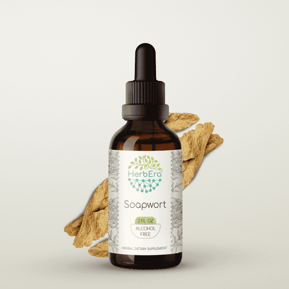 HerbEra Soapwort Tincture, Herbal Dietary Supplement for Digestive Support, Soapwort (Saponaria officinalis) Dried Root Extract, Natural, Alcohol-Free, Drops 2 oz