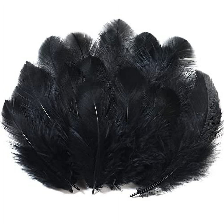 Soarer Black Craft Feathers Bulk - 300pcs 3-5inch Natural Feathers for  Wedding Home,Dream Catcher Supplies,DIY Crafts and Halloween Holiday  Party(Black) 