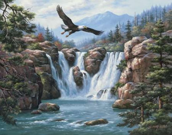 Soaring Eagle Canvas Art - Sung Kim (22 x 28)