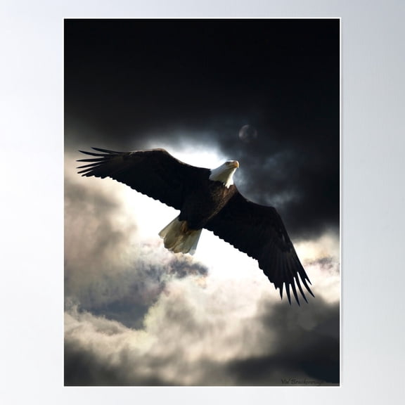 Soaring Eagle In Stormy Skies Poster Wall Art, Poster Only