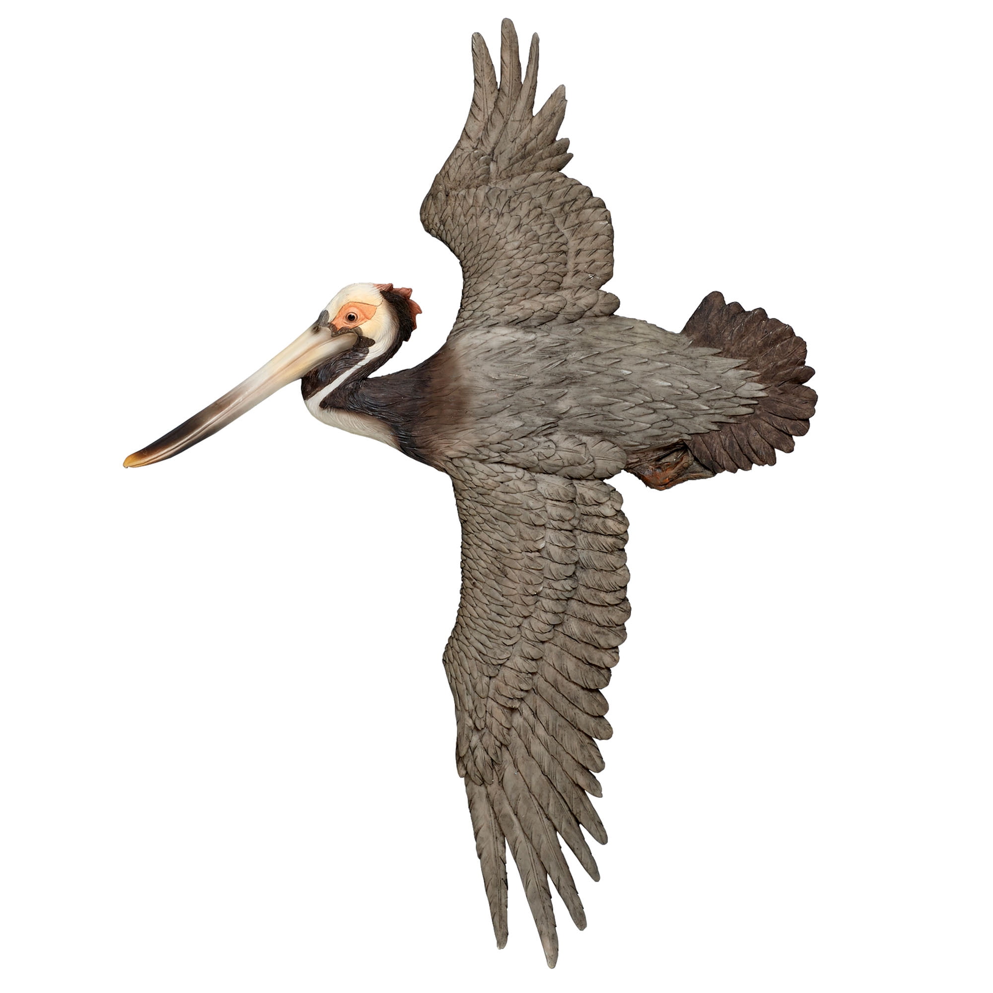 Soaring Pelican Wall Art Sculpture Charcoal