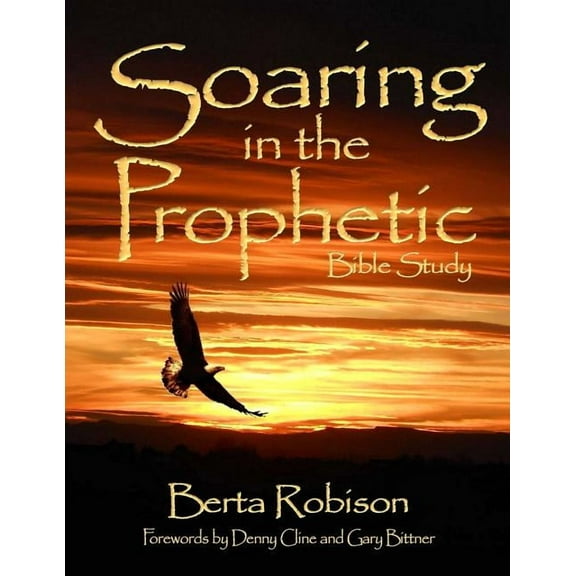 Soaring in the Prophetic: Bible Study (Paperback)