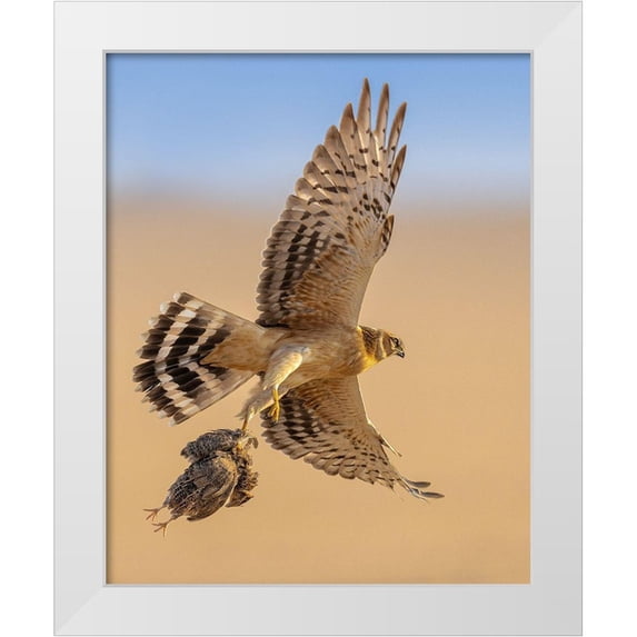 Sobhi, Ahmed 12x14 White Modern Wood Framed Museum Art Print Titled - Untitled