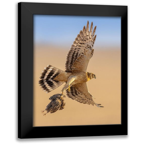 Sobhi, Ahmed 20x24 Black Modern Framed Museum Art Print Titled - Untitled