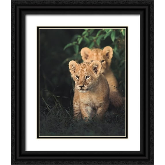 Sobhi, Ahmed 20x24 Black Ornate Wood Framed with Double Matting Museum Art Print Titled - Untitled