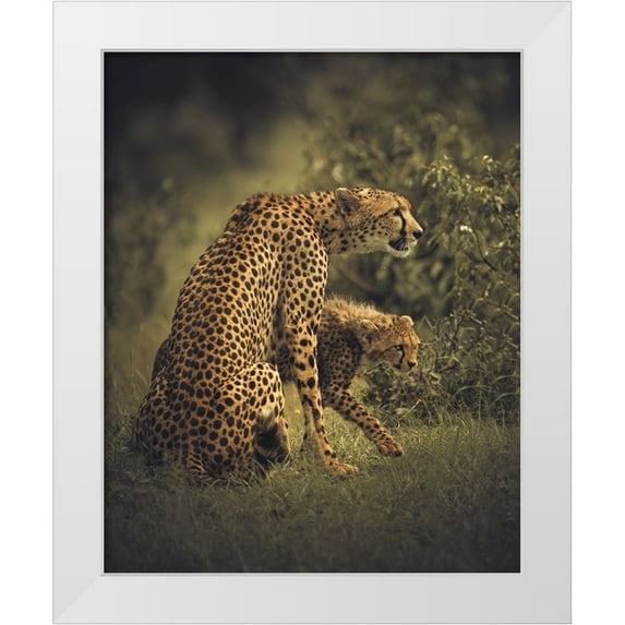 Sobhi, Ahmed 20x24 White Modern Wood Framed Museum Art Print Titled - Backbone
