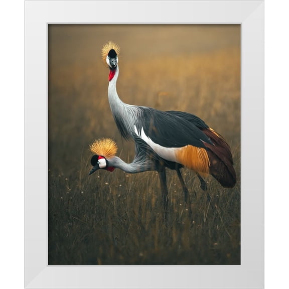 Sobhi, Ahmed 26x32 White Modern Wood Framed Museum Art Print Titled - Twins