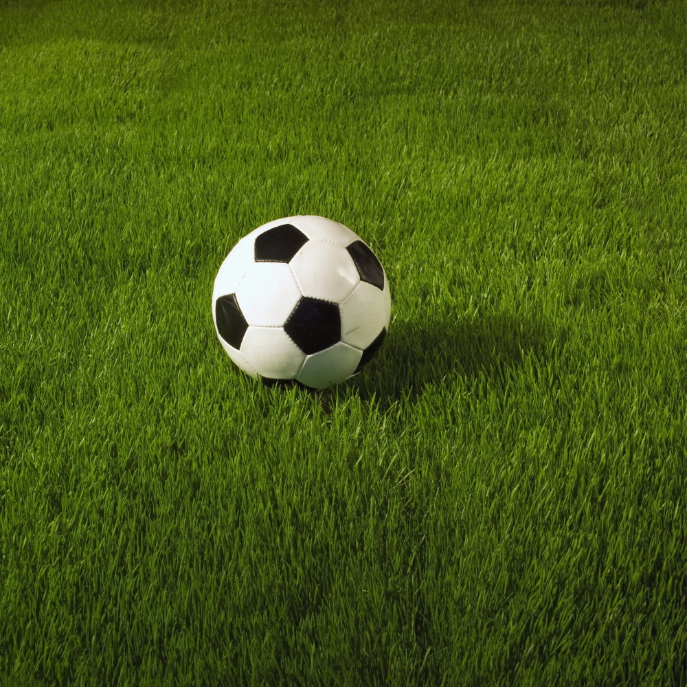 Soccer Ball On Grass Canvas Art - Bruno Crescia Design Pics (15 x 15)