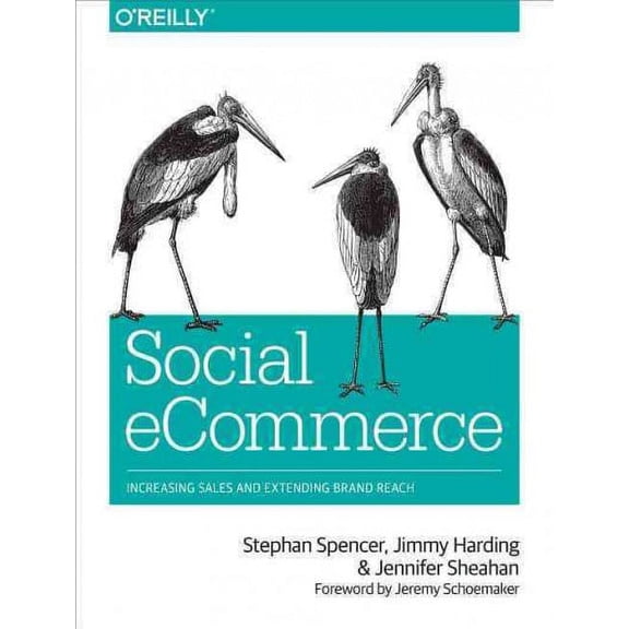 Social Ecommerce: Increasing Sales and Extending Brand Reach (Paperback)
