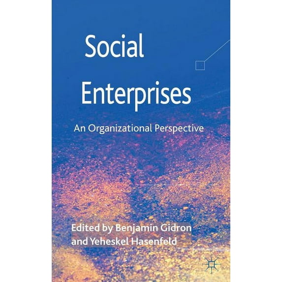 Social Enterprises: An Organizational Perspective, (Hardcover)
