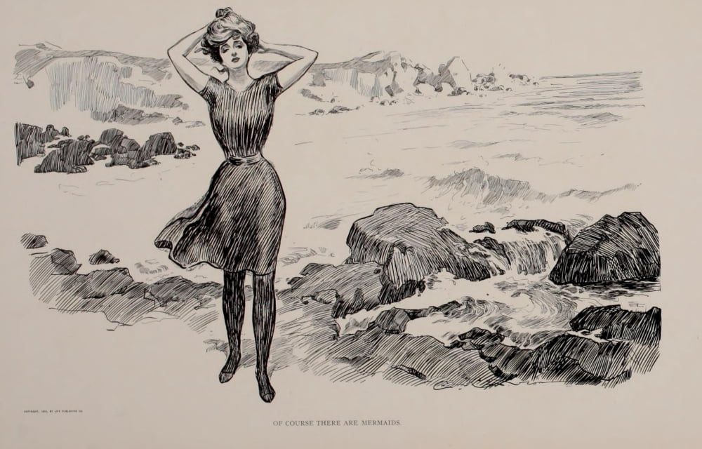 Social Ladder 1902 Lady on beach Canvas Art - Charles Dana Gibson (18 x 24)