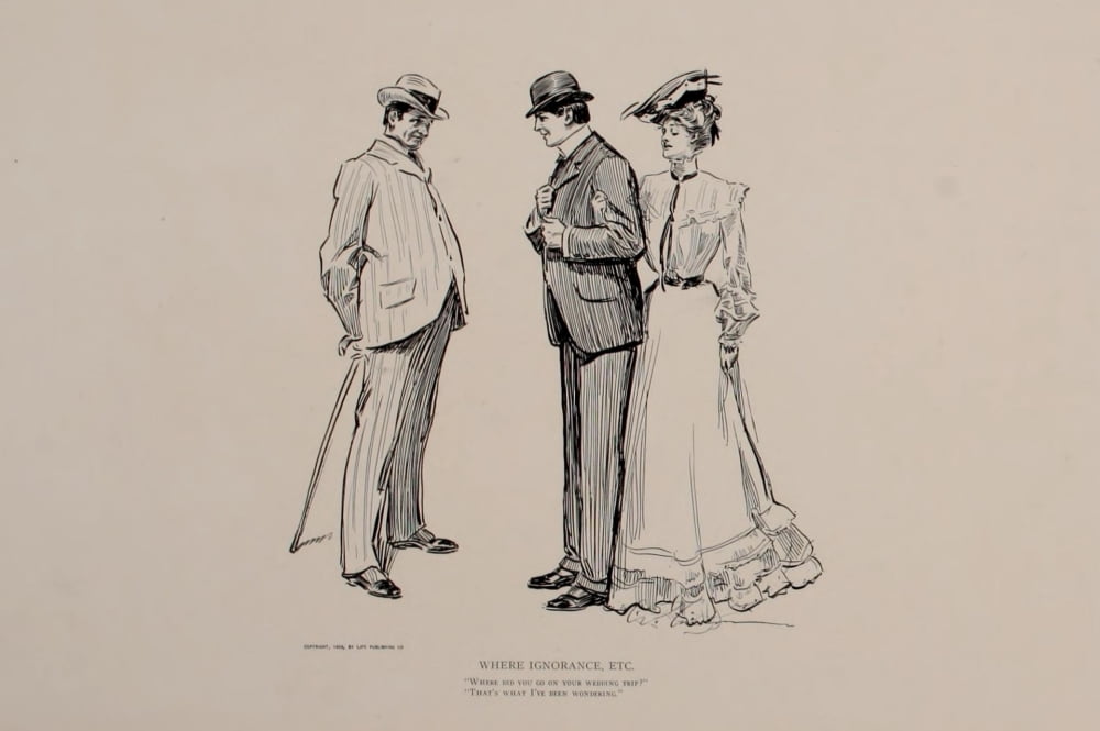 Social Ladder 1902 Newlyweds Canvas Art - Charles Dana Gibson (18 x 24)