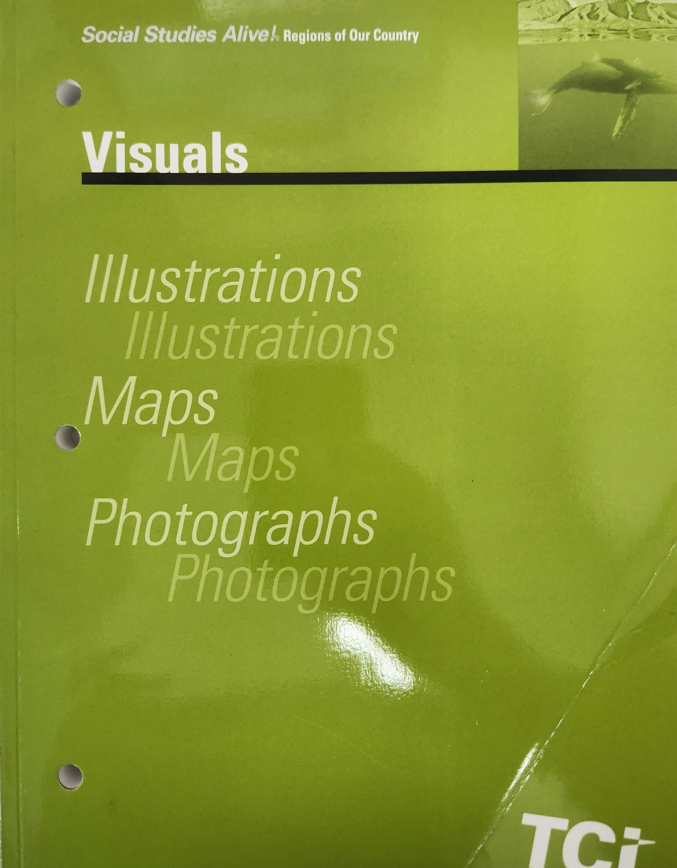 Social Studies Alive! Regions of Our Country, Visuals Illustrations