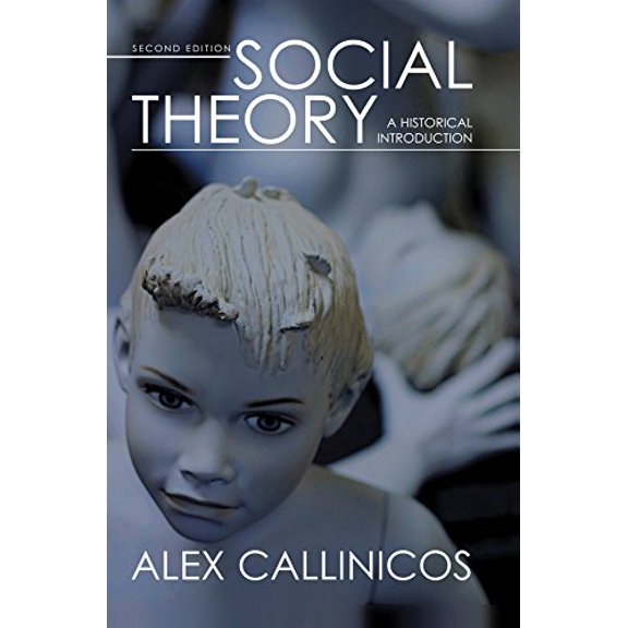 Pre-Owned Social Theory: A Historical Introduction (Paperback) 0745638406 9780745638409