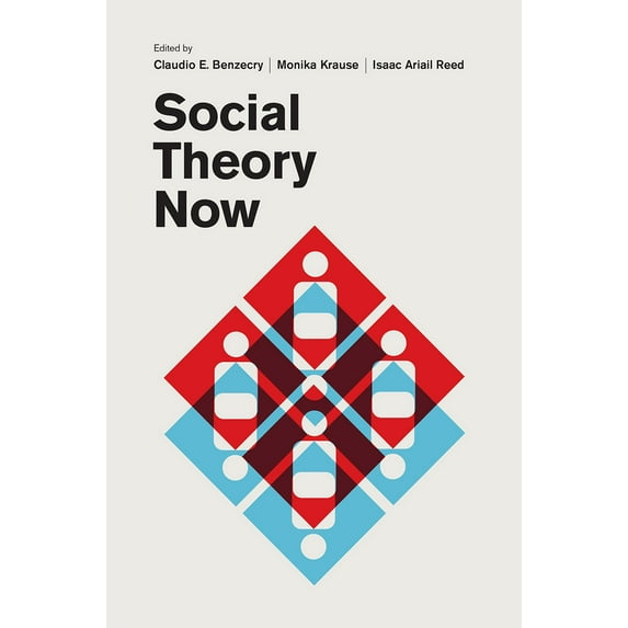 Social Theory Now (Paperback)