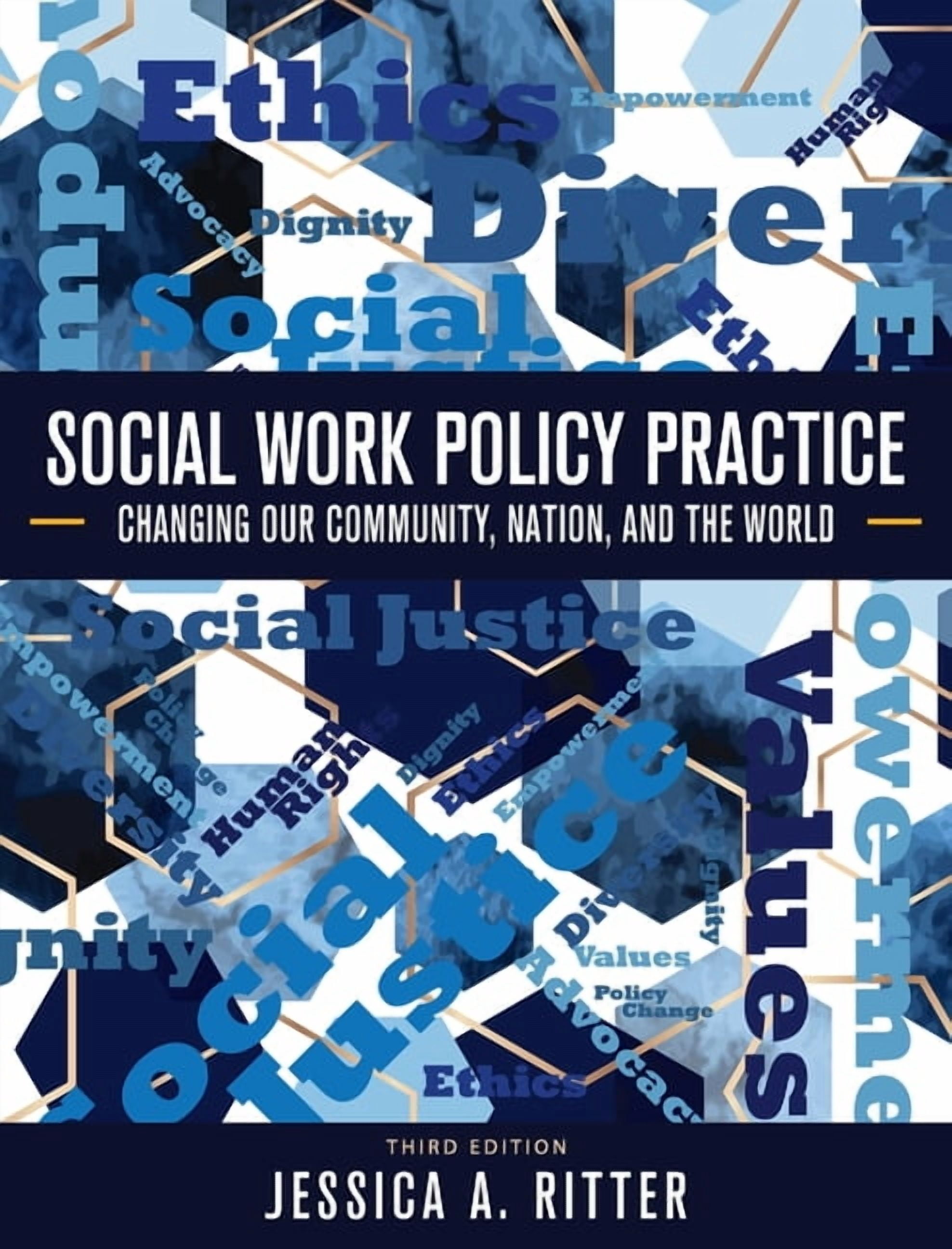 Social Work Policy Practice: Changing Our Community, Nation, and the ...