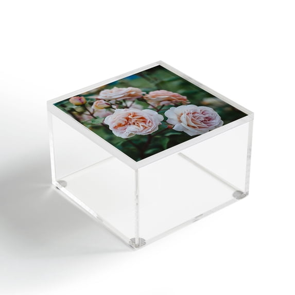 Society6 Hello Twiggs Moody Roses II Acrylic Box