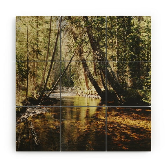 Society6 Kevin Russ East Inlet Creek 4' x 4' Wood Wall Mural