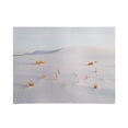 thumbnail image 1 of Society6 Kevin Russ White Sands National Monument 18" x 24" Unframed Poster, 1 of 1