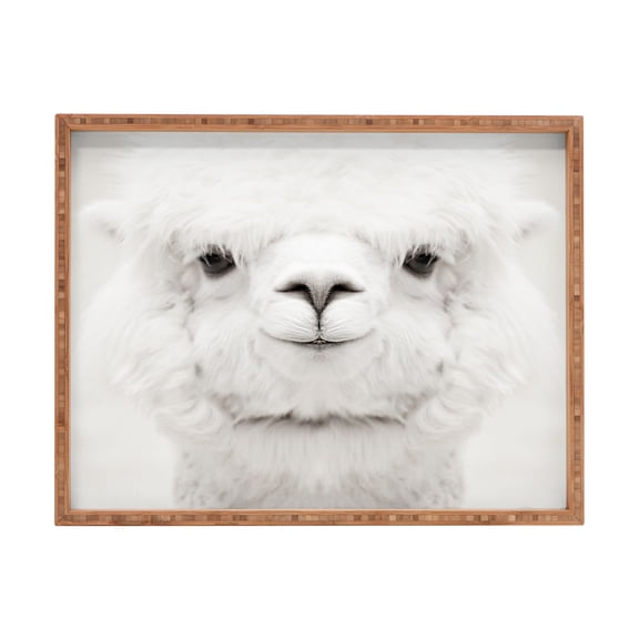 Society6 Monika Strigel Smiling Alpaca 22.5" x 17" X Large Rectangular Tray