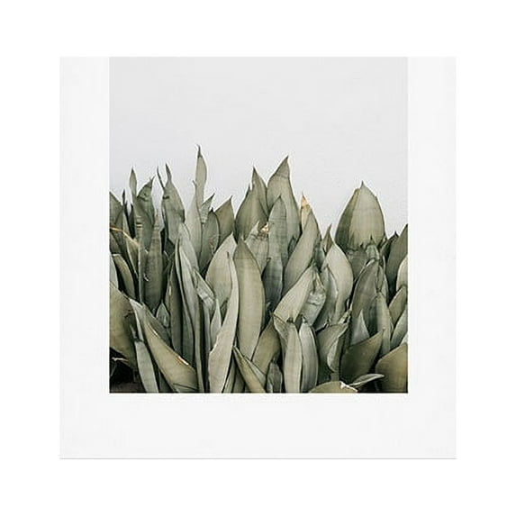 Society6 Romana Lilic / LA76 Photography Moonshine Snake Plant 8" x 10" Art Print & Hanger