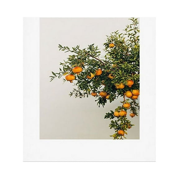 Society6 Romana Lilic / LA76 Photography Pomegranates 8" x 10" Art Print & Hanger