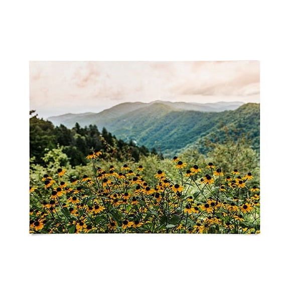 Society6 Smoky Mountains National Park by Nature Magick Art Print