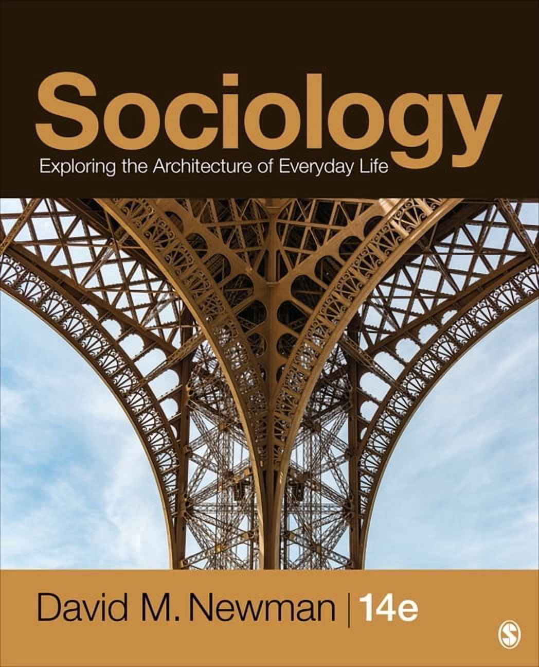 Sociology: Exploring the Architecture of Everyday Life, (Paperback) - Walmart.com