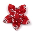 thumbnail image 1 of Sock Monkey Flower, 1 of 1